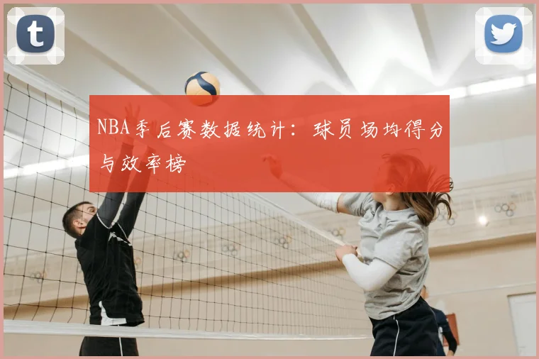 NBA季后赛数据统计：球员场均得分与效率榜